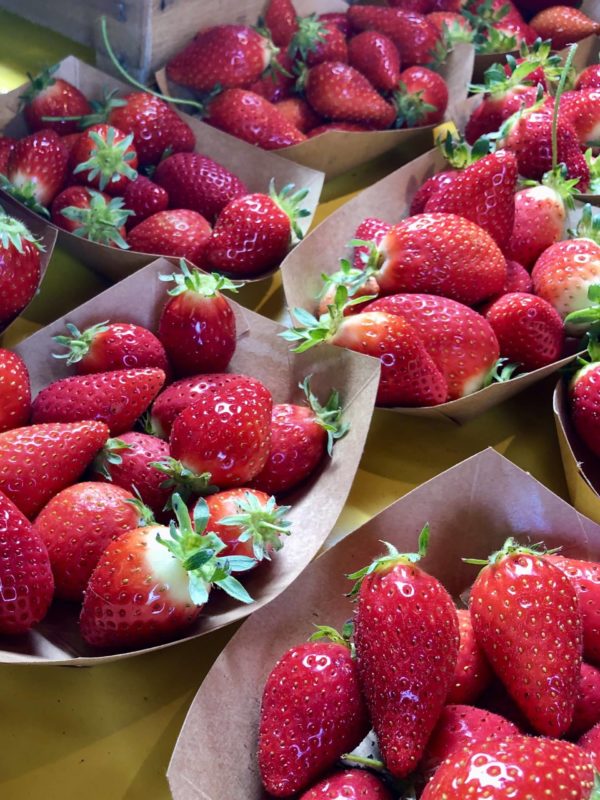 Fraises