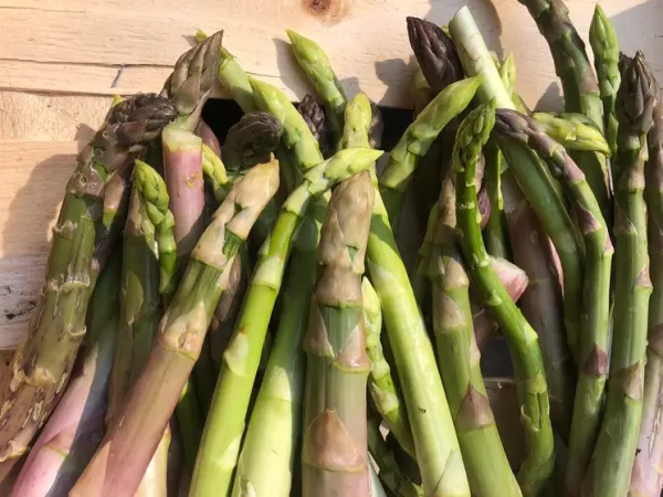 Asperges vertes