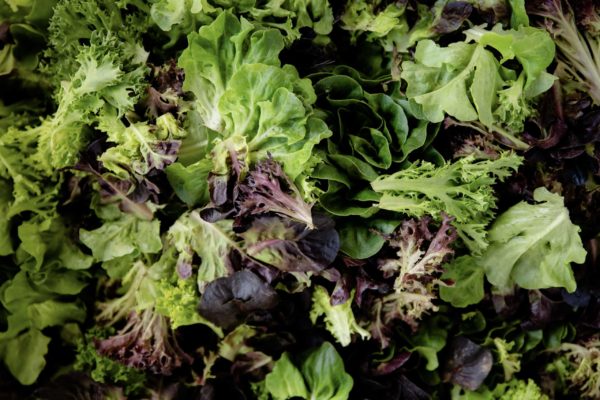 Mélange de salade