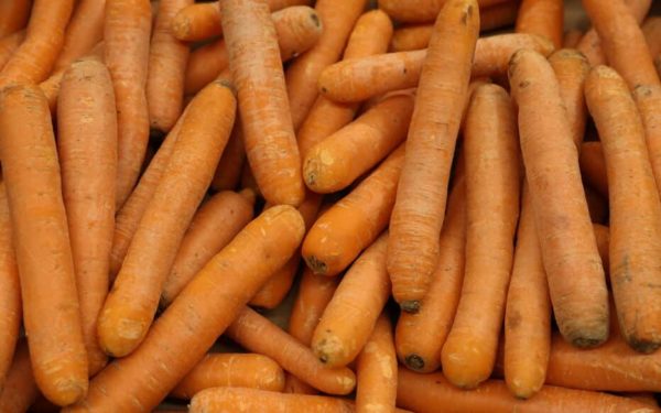 Carottes