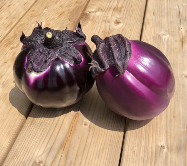 Aubergines
