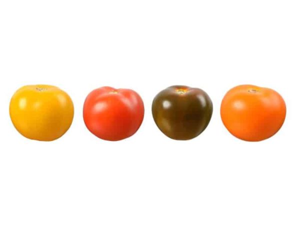 Tomates rondes