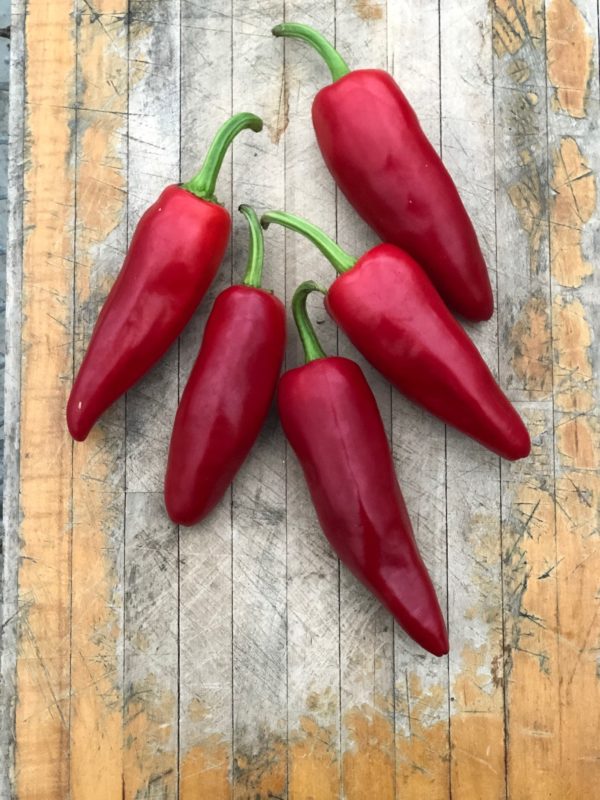 Piment basque